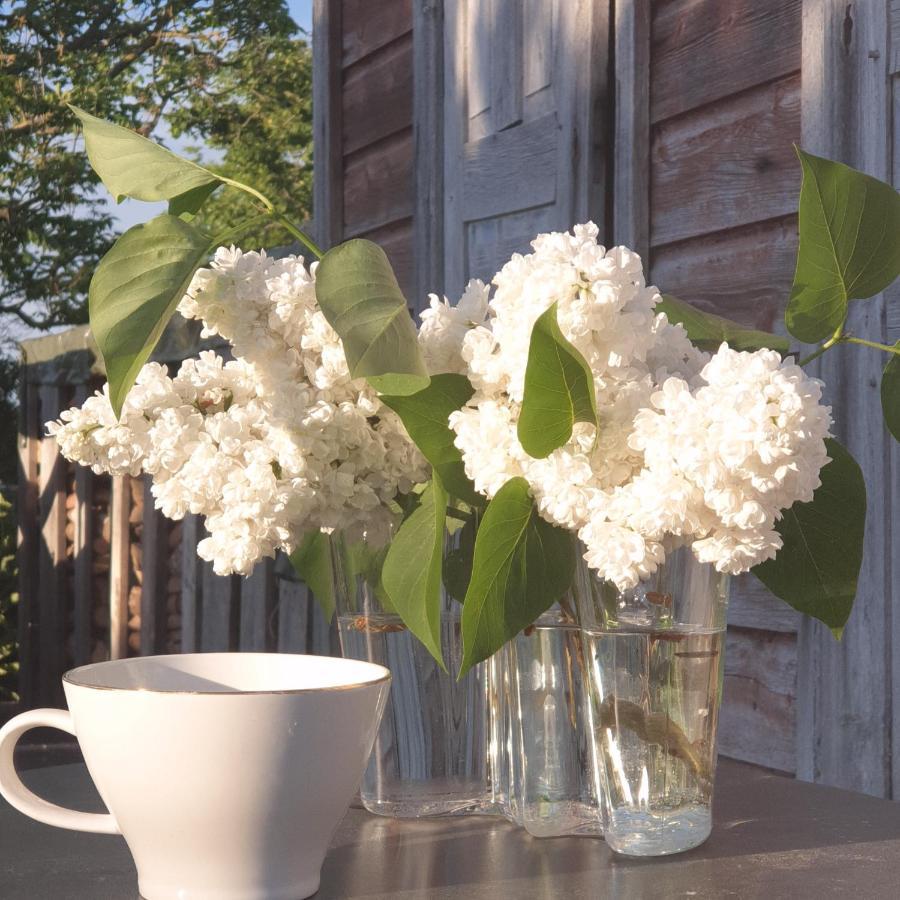 Ronehamn Bed And Breakfast Hemse Bagian luar foto