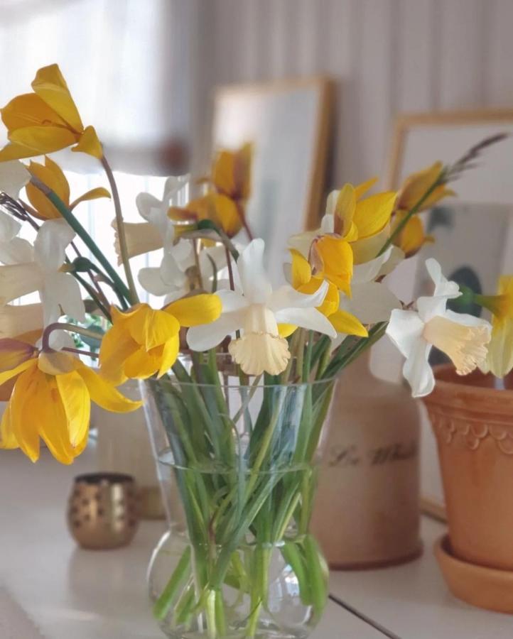 Ronehamn Bed And Breakfast Hemse Bagian luar foto
