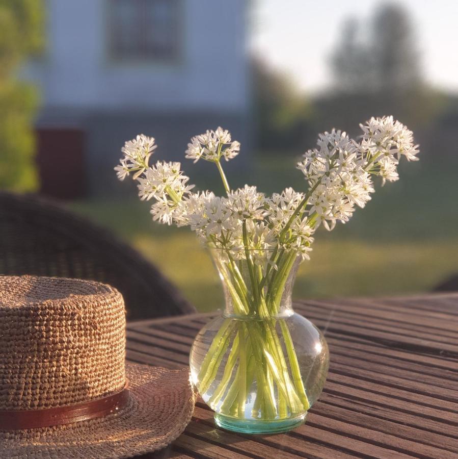 Ronehamn Bed And Breakfast Hemse Bagian luar foto