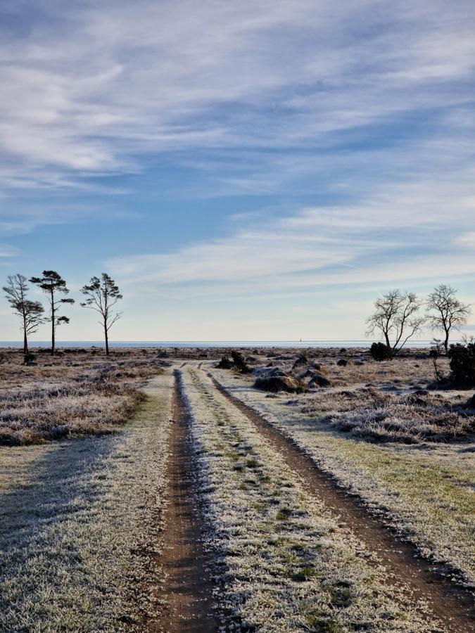 Ronehamn Bed And Breakfast Hemse Bagian luar foto