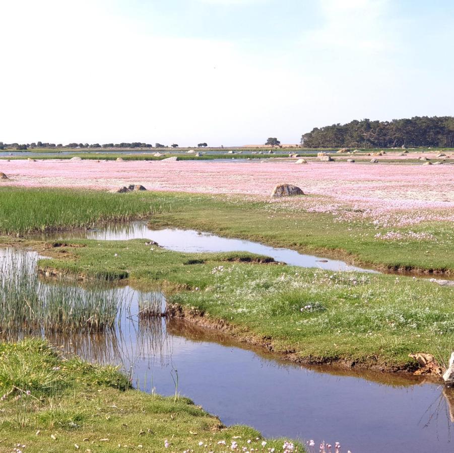 Ronehamn Bed And Breakfast Hemse Bagian luar foto